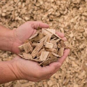 WOOD CHIPS