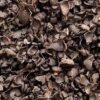 PALM KERNEL - Image 2